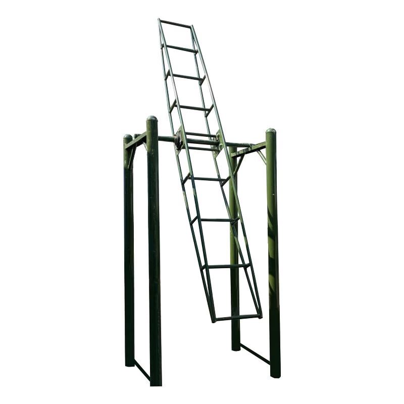 Rotary Physical Training Ladder