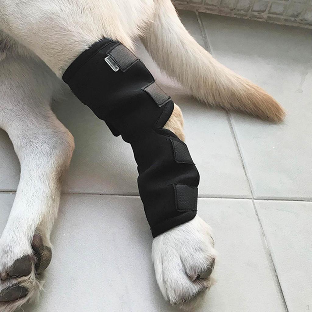 Dog Support Leg , Comfortable Compression for Loss of Stability from Sprain Doggy Supplies Wound