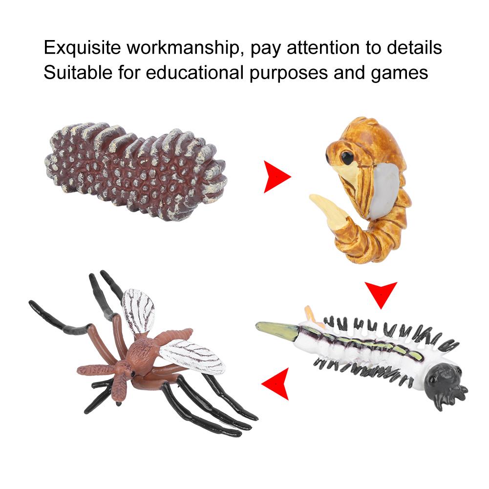 Mosquito Growth Cycle Model Children Miniature Simulation Animal Early Education Statue Toy
