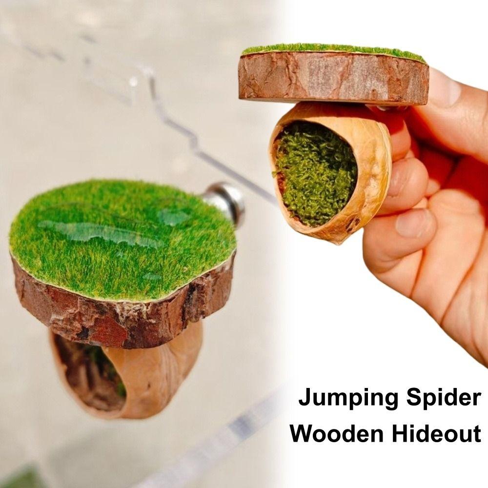 Hanging Jumping Spider Hideout Magnetic Install Insect Hide House Small Pet Supplies