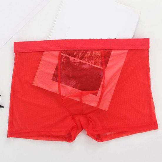 Men Boxers Breathable Elastic Mesh Low Waist Ice Silk Cooling Anti-septic See-through Men