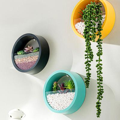 1Pcs Dining Room Hydroponic Wall-Mounted Planter Plastic Nordic-Inspired Vintage Chic