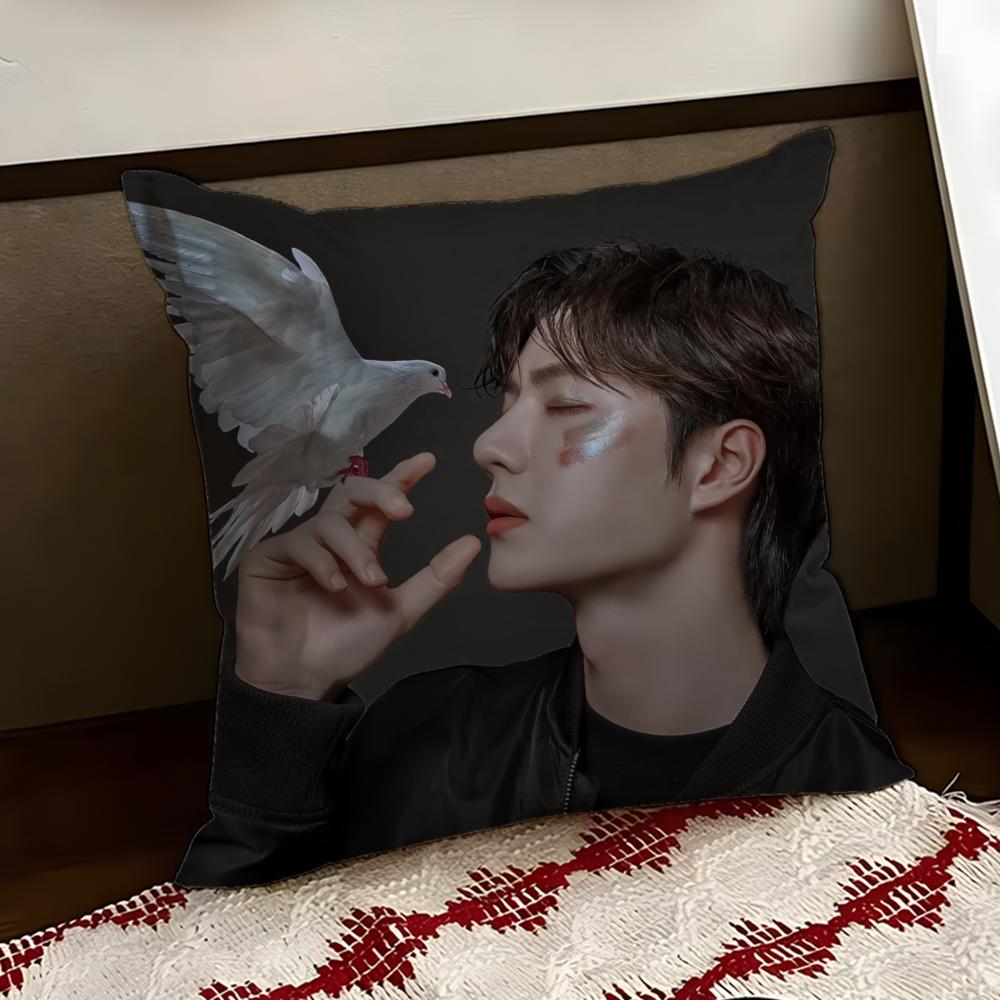 Singer WWang Yibo Cushion Cover Reversible Soft Durable Pillow Cover Home  Car MultiScene Use for Daily Comfort