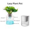 Household Anti Rots Auto-Watering Planter for Living Room Plant Flowers Automatic Water-Absorbing Flowerpots