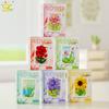 MOC Flower Po Frame Model Micro Building Block Sunflower Rose Mini Diamond Brick Toy for Children Desk Decor.