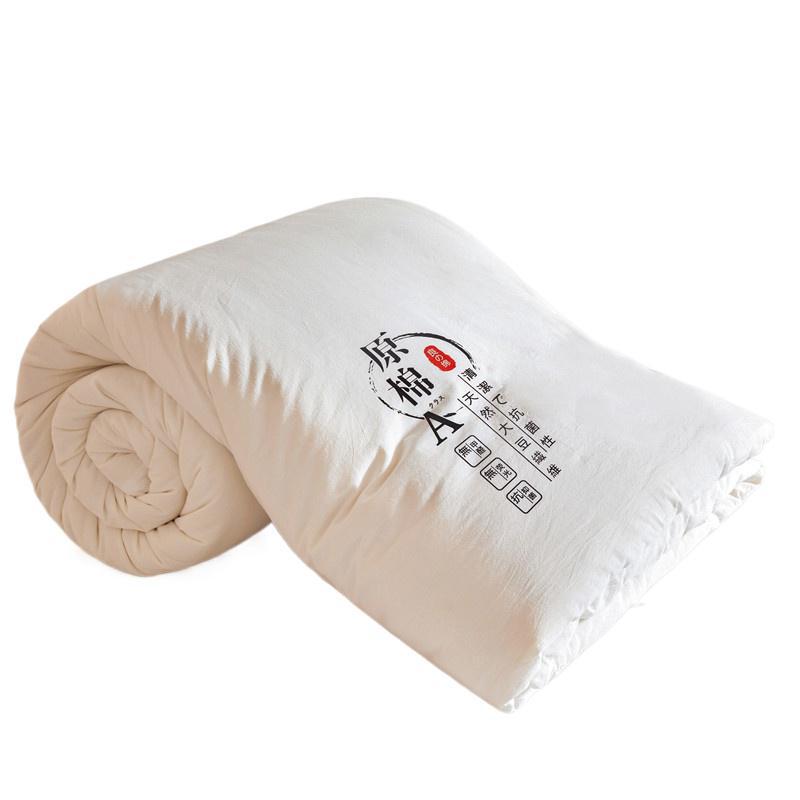 Class A Thickened Soybean Fiber Quilt - Perfect for Spring, Autumn, and Winter. Ideal Gift Choice.