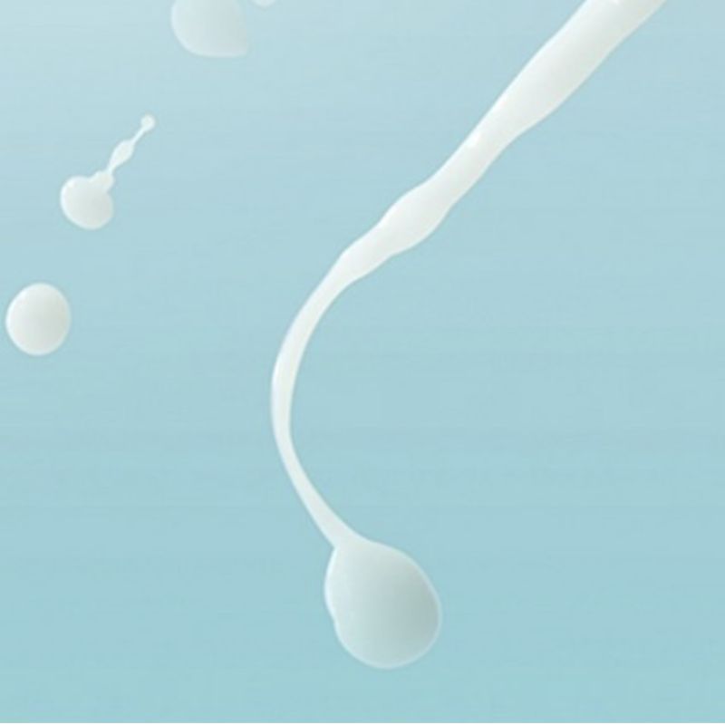 Belif The True Cream – Moisturizing Bomb 50ml (1 Piece)