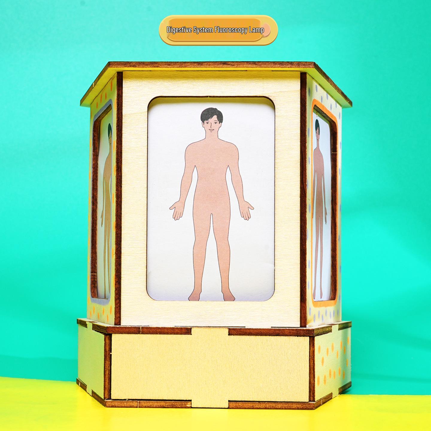 DIY Human X-ray Science Kit for STEAM Students