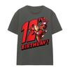 Iron Man Womens/Ladies 12th Birthday T-Shirt