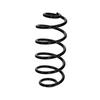 Ft01963 Fast Rear Suspension Spring