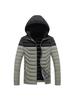 Men's Slim Fit Hooded Cotton Jacket - Warm, Lightweight, & Trendy for Autumn/Winter