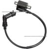 High Voltage Ignition Coil for Off-road 125CC/150CC/200CC ATV & Beach Buggy