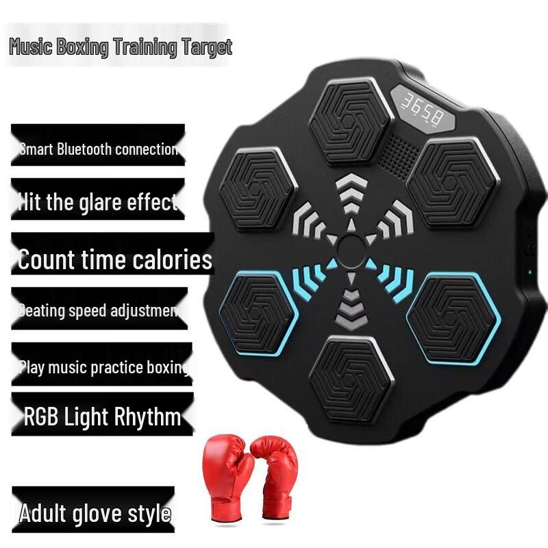 Indoor Boxing Trainer Wall Target