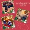 Christmas Sock Advent Calendar 2025 Christmas Advent Calendar 24 Pair of Christmas Crew Socks Xmas Countdown Calendar for Adults