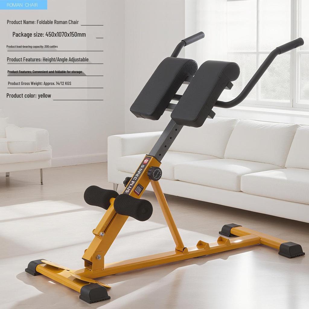 Foldable Adjustable Roman Chair & Dumbbell Bench for Leg & Back Muscle Fitness