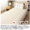 Merry Night Washable Pillow, Made In Japan, 100% Cotton, Made with Fulltect Antiviral Fabric, Approximately 35 X 50 Cm, Cream