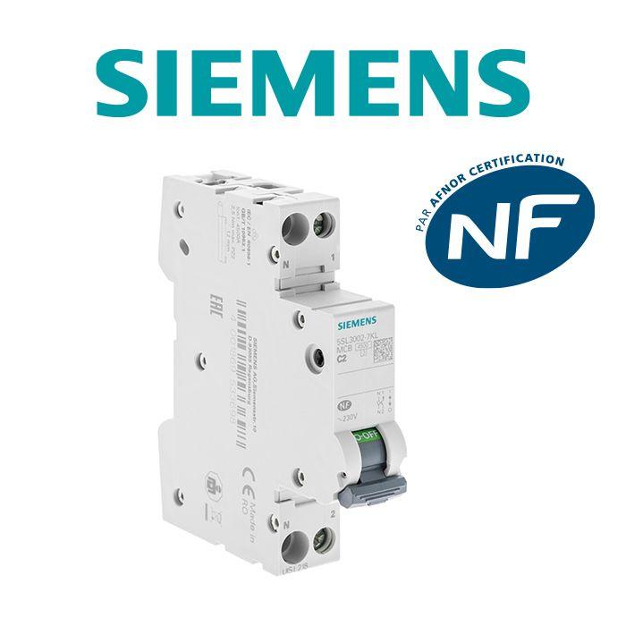 Disjoncteur 2A Ph+N Courbe C 4.5kA 230V