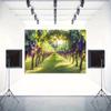 2D Vineyard Backdrop for Wine Tasting and Harvest Festival Photograph