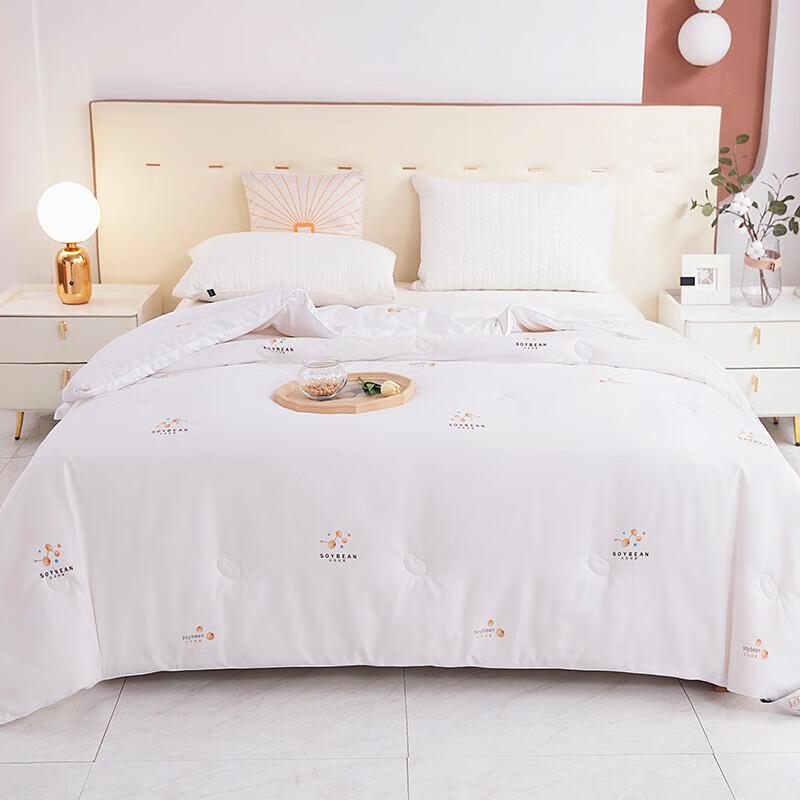 

Donner Home Textiles Soy Cloud Winter Quilt