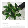 Acorn Peperomia Artificial Plants 30cm Eucalyptus Leaves Green Plants High Quality green Artificial Shrubs Plants Outdoor