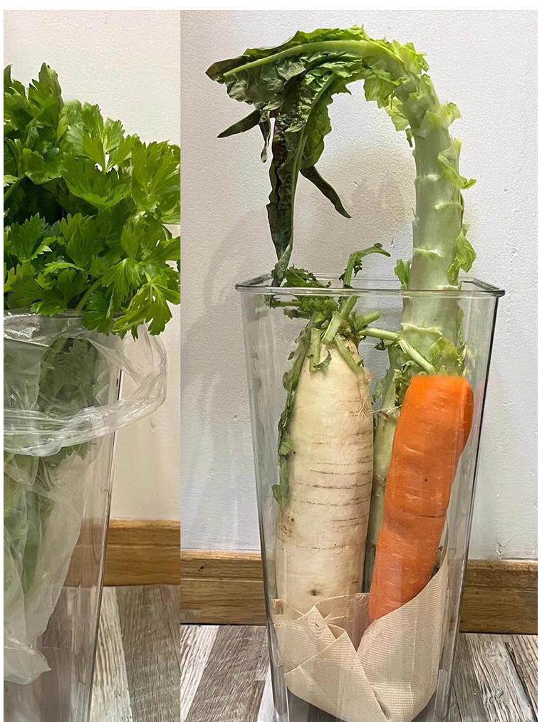 Large Capacity Transparent Kitchen Organizer for Scallions, Yams, Ginger, and Garlic