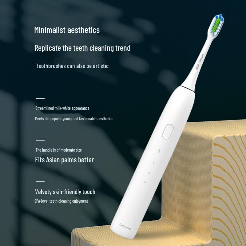 Libode C101 Sonic Electric Toothbrush CN plug (adapter included)