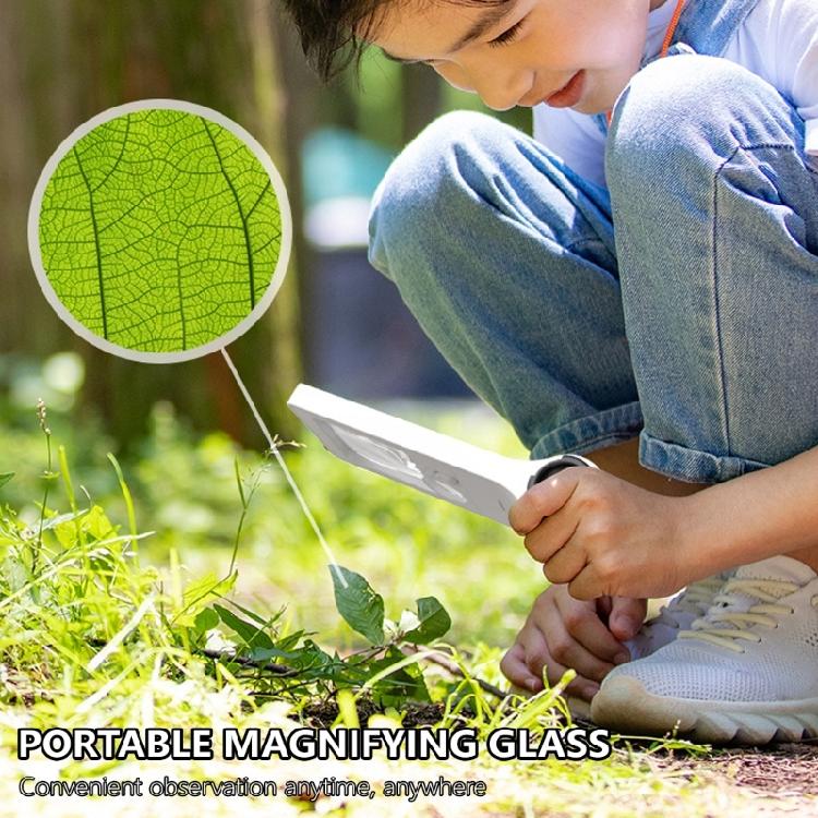 Magnifying Tool with LED Light for Office Readers Hobbies, Crafts, and Reading Detailed Viewing Work Jewelry Inspection