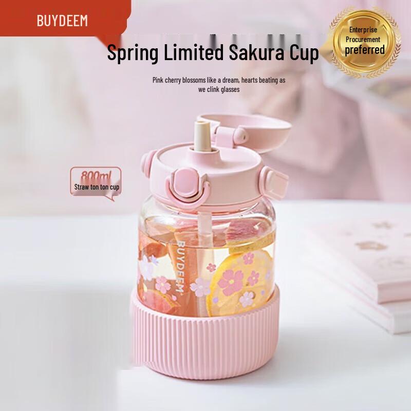Buydeem 800ml High-Temperature Resistant Glass Tea Infuser Tumbler