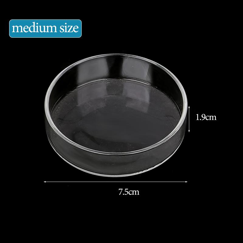 Aquarium Feeding Bowl Fish Tank Feeder Shrimp Tropical Fish Ratfish Glass Feeding Dish Clear Round Tray Reduce Food Scraps