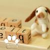 Pet Commemorative Items, Acrylic Ornaments, Cat Paw Shapes, New Products, Party Gifts, Pet Owner Gifts, Home Ornaments, DIY Accessories