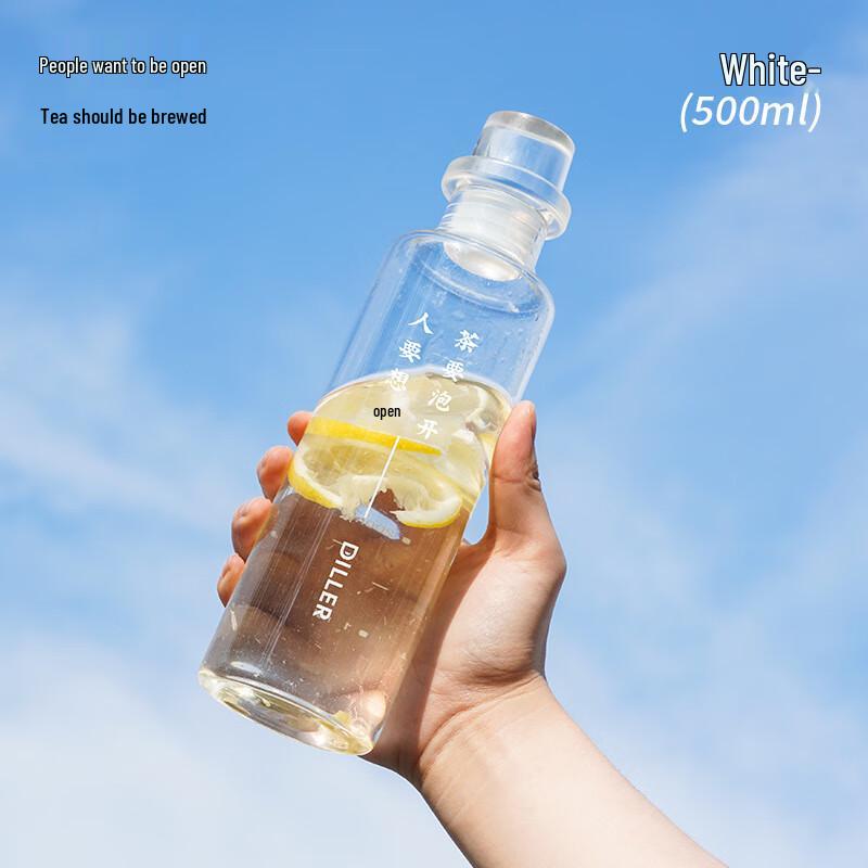 Diller Portable Cold Brew Tea Glass Bottle