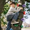 12Pcs Tree Climbing Holds with 6 Ratchet Straps, Kids Adults Climber Large Climbing Rocks, Obstacle Course Training Tree Climbing Kit for Outdoor,