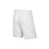 Nike Casual Shorts Men's Thin (Unisex) Casual Shorts BV6855 100