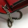 [Pre-Owned] Dionysus Tiger Head Buckle Chain Leather Crossbody Shoulder Bag - Very Good #1E2KG12