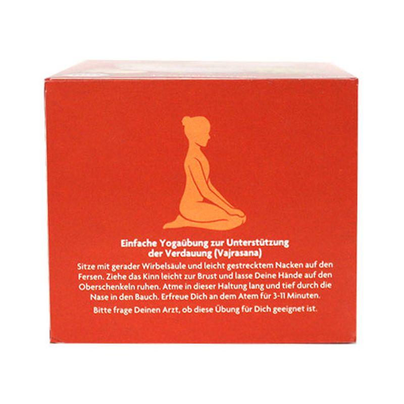 Yogi Tea After-Meal Tea 17 Tea Bags (30.6g)