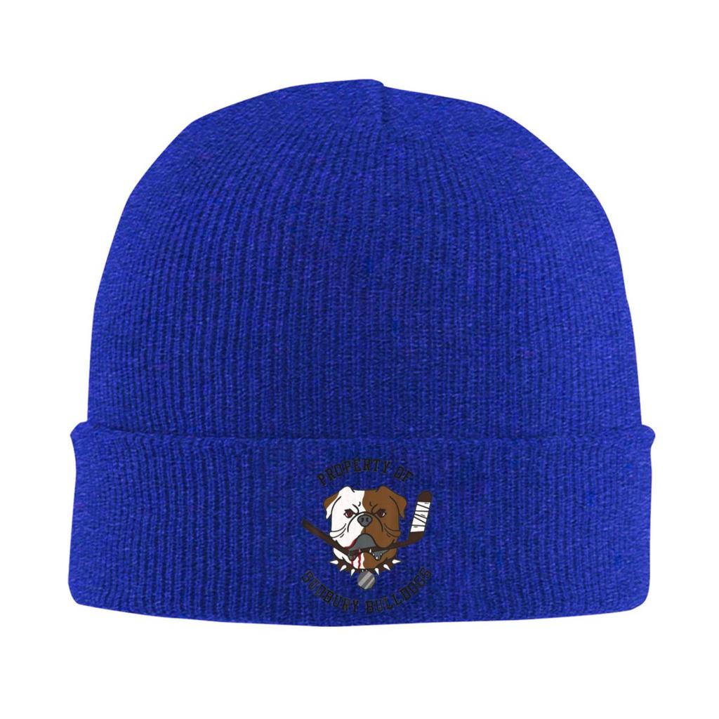 Majetek Sudbury Bulldog Teplá pletená čepice Zimní pletená čepice Čepice Beanie Hip Hop čepice pro Unisex