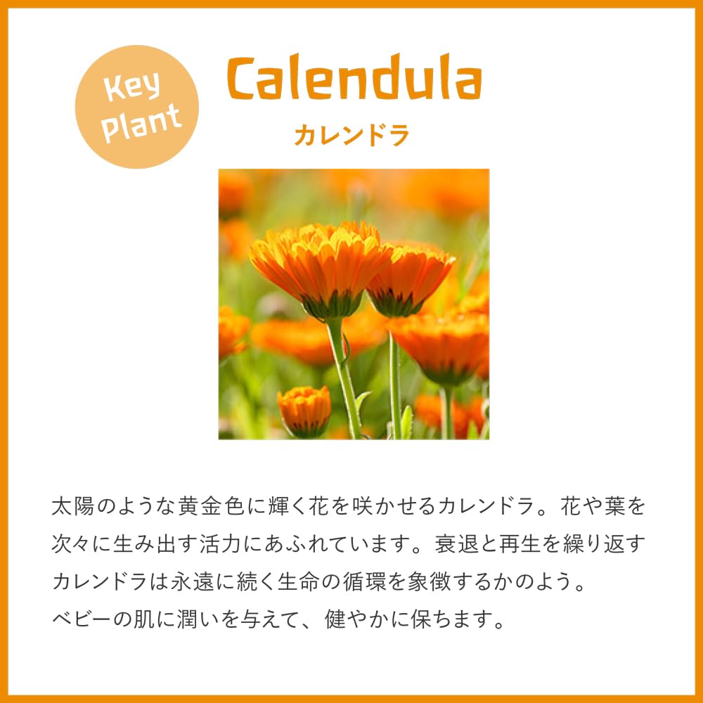 WELEDA Calendula Baby Facial Cream 50mL Moisturizing Protecting Face Cream with a Gentle Herbal Scent and Naturally Derived Organic [Official] &