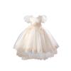 Children's Fashion Solid Color Round Neck Medium Sized Girls' Princess Dress Dress, Puffy Mesh Dress