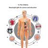 Children's STEM Cognitive Educational Toy, Detachable and Assembled, Full Body Skeletal Model, Puzzle Early Education Toy