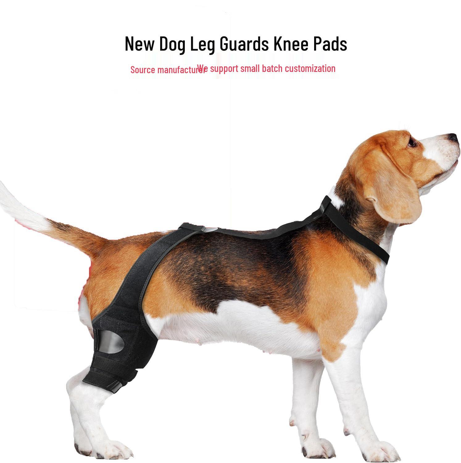 

Dog Rear Leg Knee Brace Support: Pet Rehab and Joint Protector XS