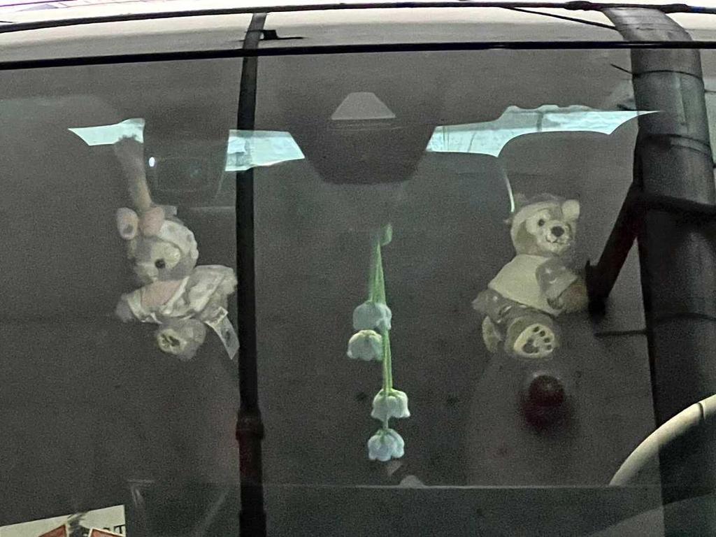 Charming Car Ornaments: Plush Passenger Seat Toys & Decorations for Women, Perfect for Tesla.