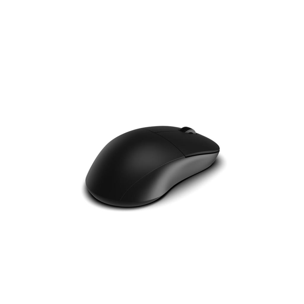 Endgame Gear XM2w 4K v2 Wireless Gaming Mouse PAW3950 Custom Low Latency (4000Hz, Sensor, 61.5g, Design, Black) EGG-XM2W-4K-V2-BLK