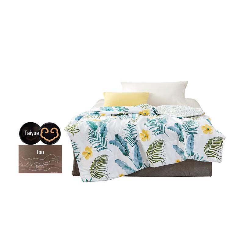 

Mengjie Washable Antibacterial Summer Quilt