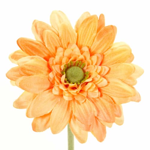 Tokyodo Artificial Flower MAGIQ Soleil Gerbera Bundle, Light Orange, 7cm Diameter x 27cm Length, 3-Pack, FM002832-009