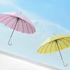 16 Bone Waterproof Umbrella Creative Bent Handle Straight Rod Umbrellas Small Fresh Women Handle Umbrellas Solid Color Umbrella