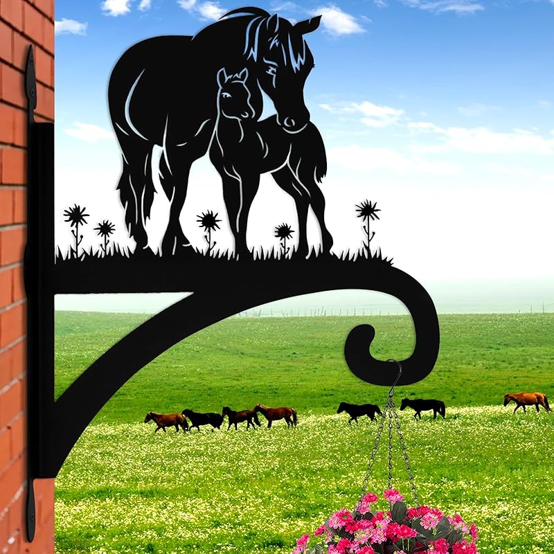 Hanging Plant Hanger Bracket Plant Hooks for Hanging Baskets Heavy Duty Decorative Hummingbird Silhouette Wall Mounted Hanging Plant Hangers Outdoor