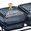 Divided Serving Dishes Appetizer Tray Caddy Platter Desserts Plate Dried Fruit