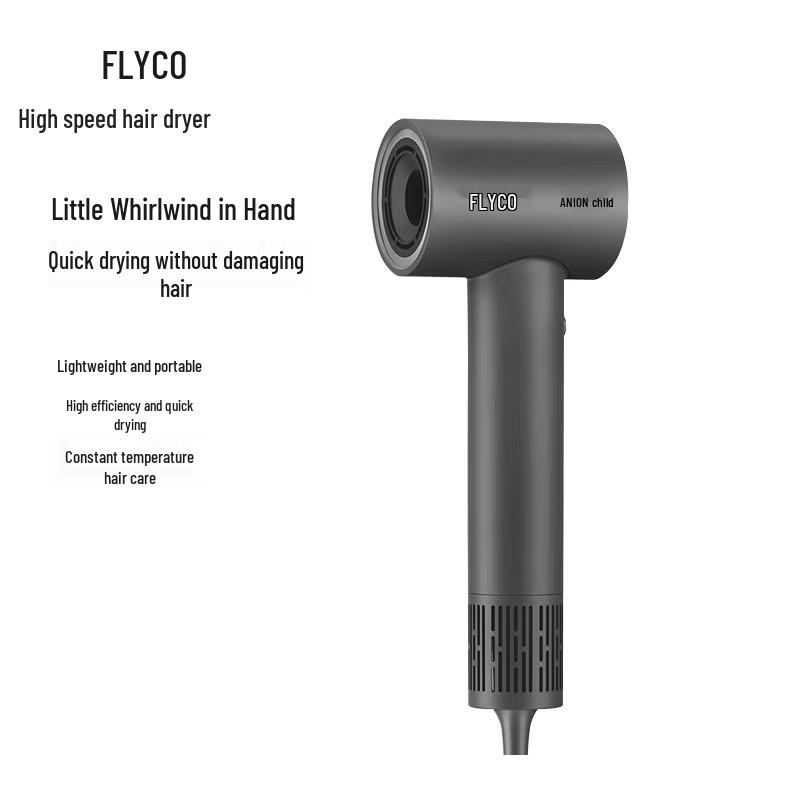 FLYCO High-Speed Negative Ion Hair Dryer CN plug (adapter included)