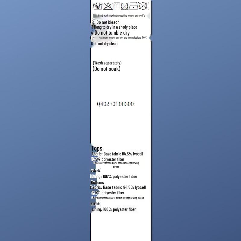 Sancai Plus Size Embroidered Top & Skirt Two-Piece Set