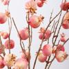 Faux Artificial Pomegranate Branches Plastic Realistic Foam Fruits Branches Handmade Elegant Simulation Pomegranate Fruit